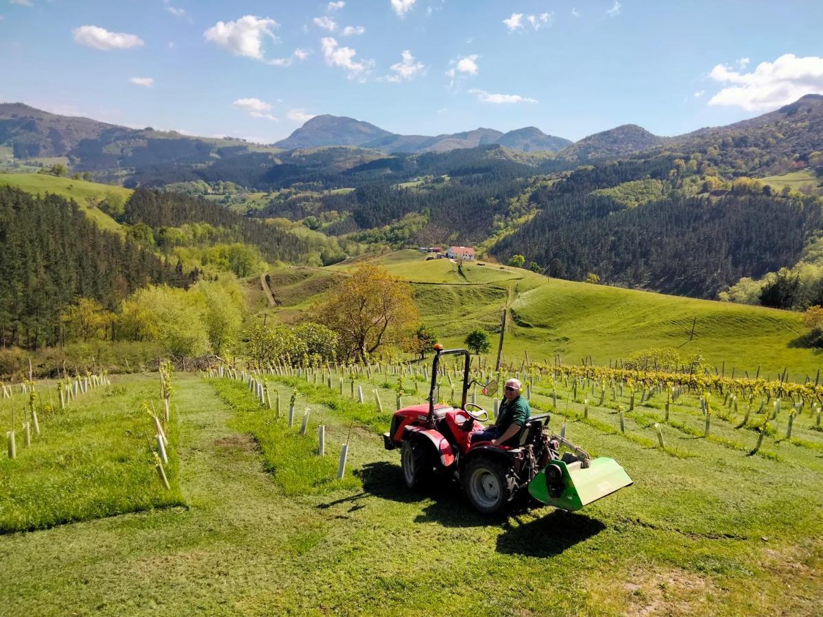 Agroturismo Erlete Goikoa -Estamos En El Camino De Santiago -We Are On The Camino De Santiago Deba Εξωτερικό φωτογραφία