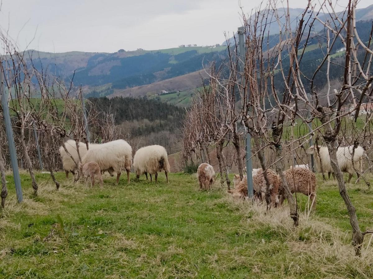 Agroturismo Erlete Goikoa -Estamos En El Camino De Santiago -We Are On The Camino De Santiago Deba Εξωτερικό φωτογραφία