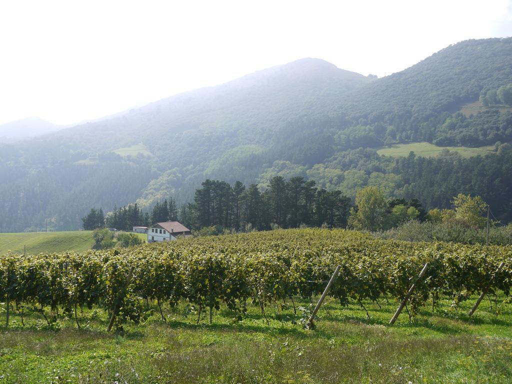Agroturismo Erlete Goikoa -Estamos En El Camino De Santiago -We Are On The Camino De Santiago Deba Εξωτερικό φωτογραφία