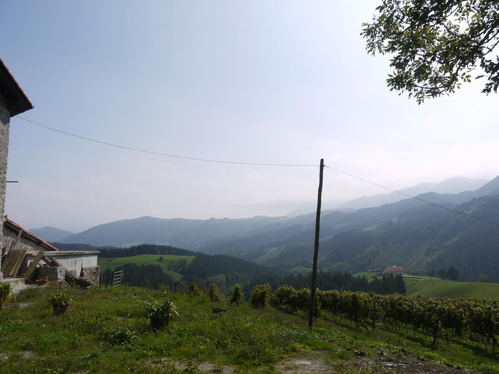 Agroturismo Erlete Goikoa -Estamos En El Camino De Santiago -We Are On The Camino De Santiago Deba Εξωτερικό φωτογραφία