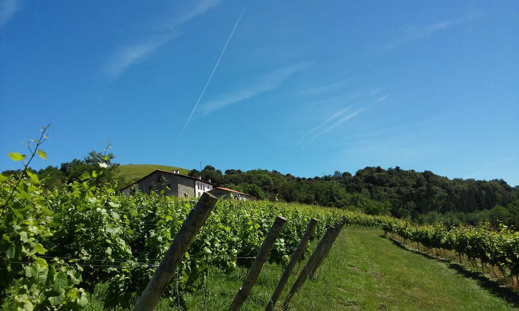 Agroturismo Erlete Goikoa -Estamos En El Camino De Santiago -We Are On The Camino De Santiago Deba Εξωτερικό φωτογραφία