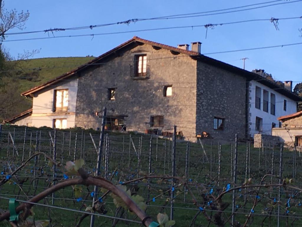 Agroturismo Erlete Goikoa -Estamos En El Camino De Santiago -We Are On The Camino De Santiago Deba Εξωτερικό φωτογραφία