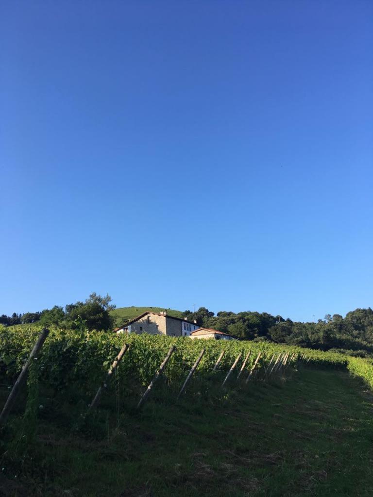 Agroturismo Erlete Goikoa -Estamos En El Camino De Santiago -We Are On The Camino De Santiago Deba Εξωτερικό φωτογραφία