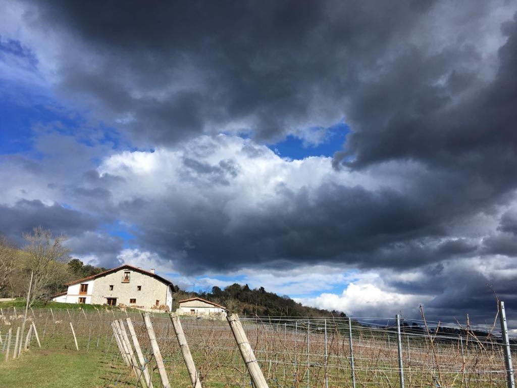 Agroturismo Erlete Goikoa -Estamos En El Camino De Santiago -We Are On The Camino De Santiago Deba Εξωτερικό φωτογραφία