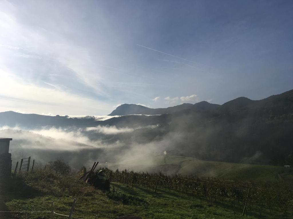 Agroturismo Erlete Goikoa -Estamos En El Camino De Santiago -We Are On The Camino De Santiago Deba Εξωτερικό φωτογραφία